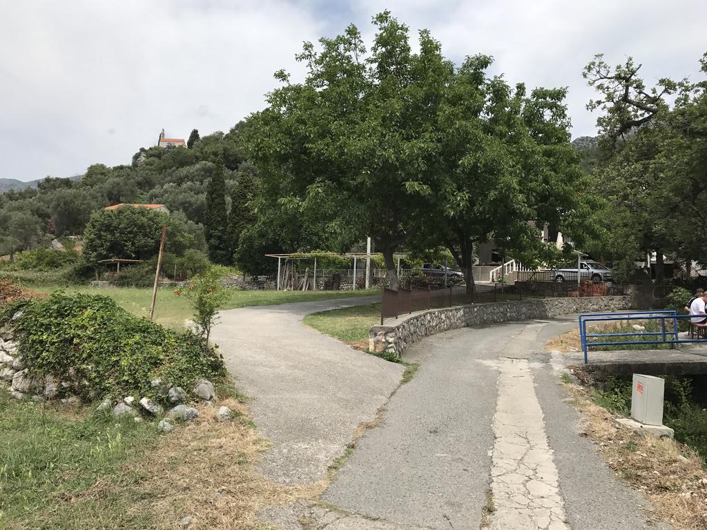 شقة Vuko I Magdalena Midzor Petrovac المظهر الخارجي الصورة