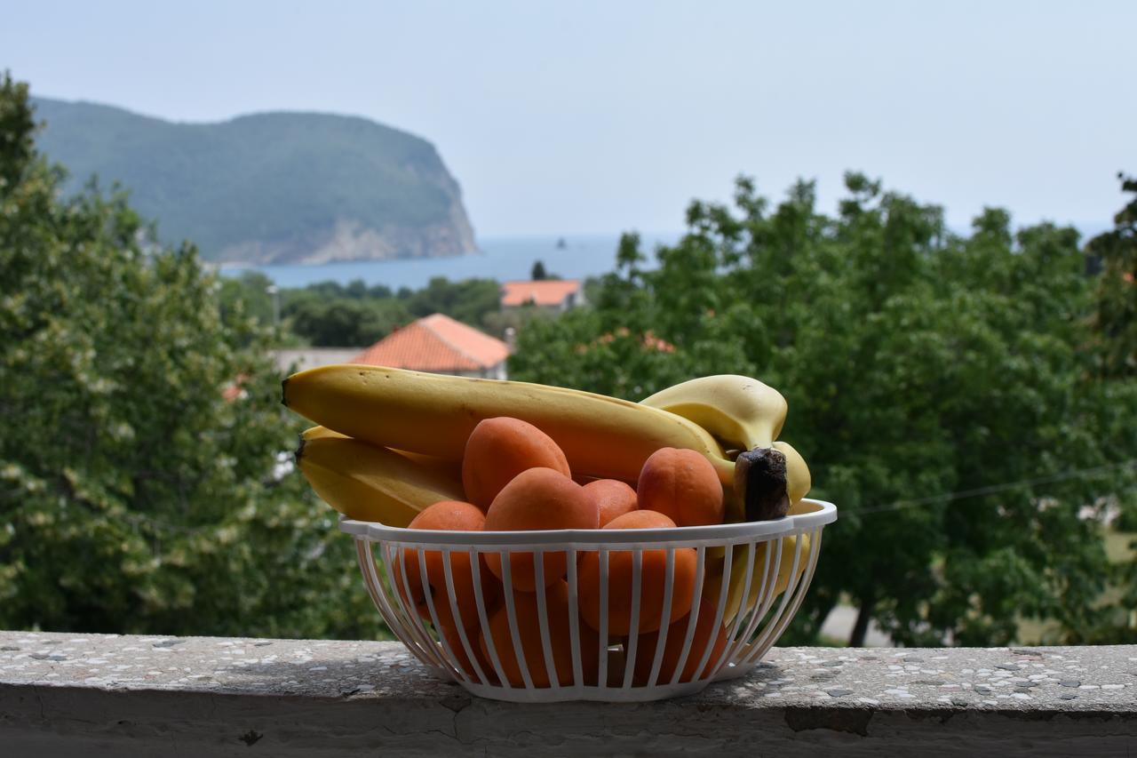 شقة Vuko I Magdalena Midzor Petrovac المظهر الخارجي الصورة